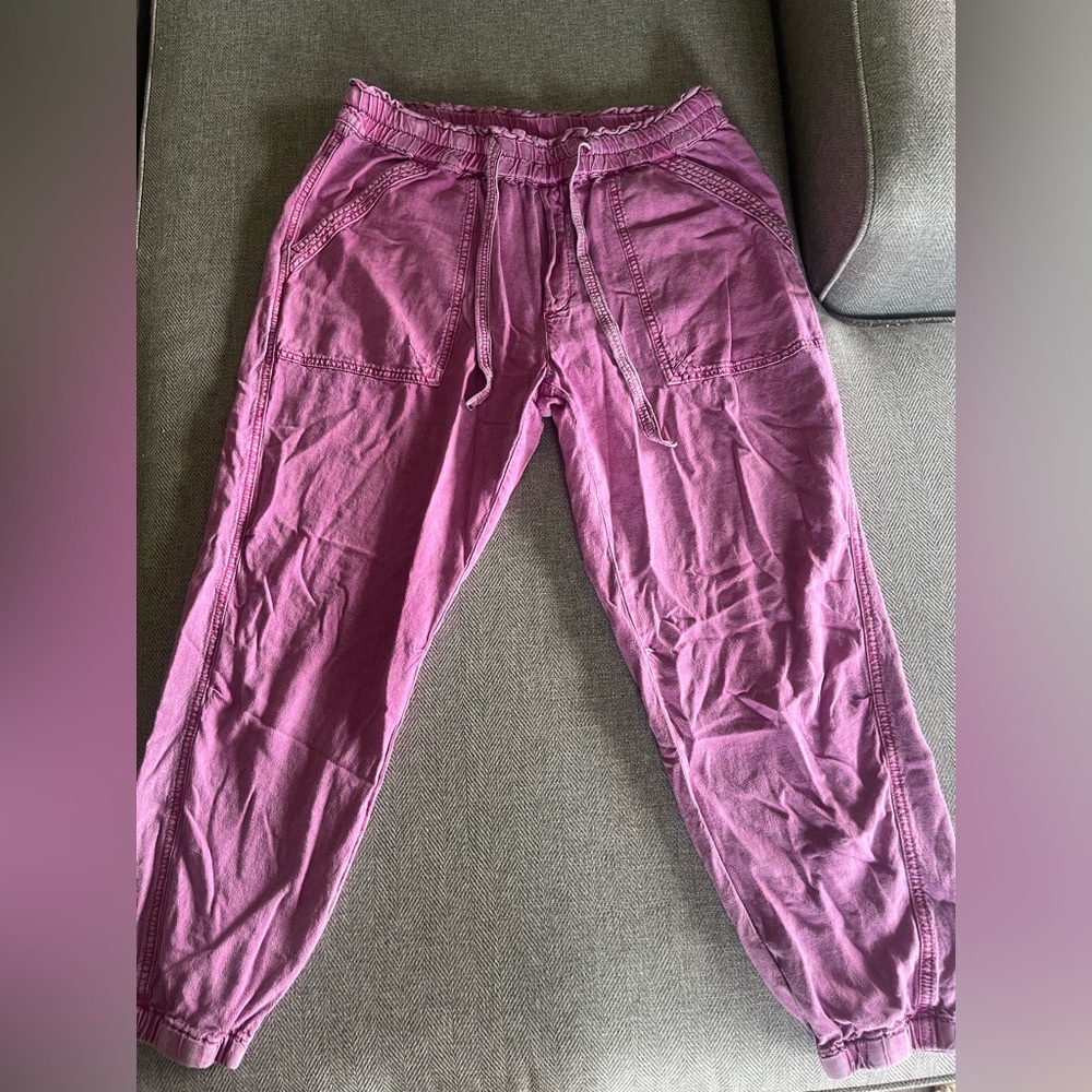 Anthropology joggers